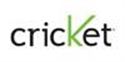Picture for category Cricket